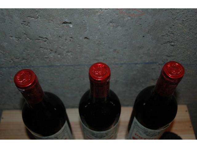 Petrus 1982 - photo 3